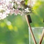 Headlines & Callouts for Spring